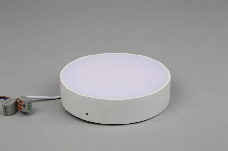 Потолочный светильник круглый Aployt Evon APL.0113.09.18 (LED, 220V, круглые)