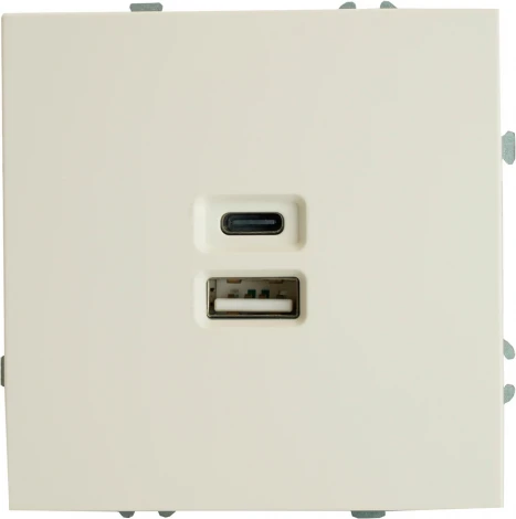 Розетка USB Type A+С (белый) Stekker Эмили 49879