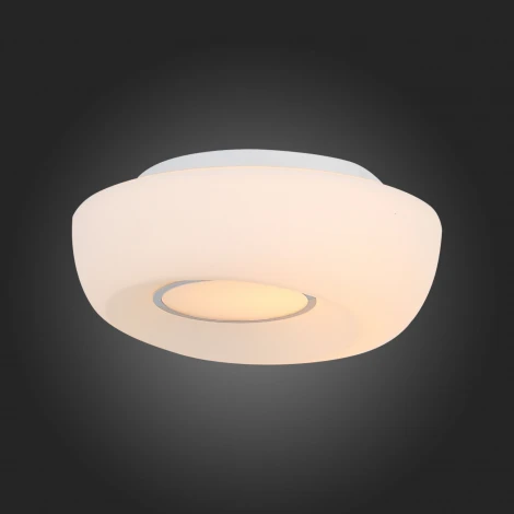 Настенно-потолочный светильник ST Luce Botone SL467.502.01