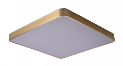 Потолочный светильник Zortes Monna ZRS.1209.05 (LED, 220V)