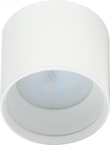 Точечный светильник ЭРА OL8 GX53 WH (220V)