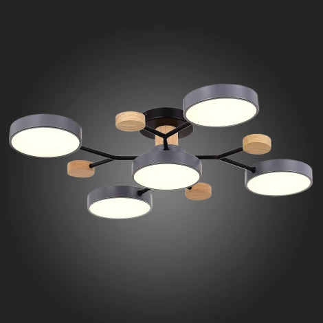 Потолочная люстра на штанге Evoluce Faema SLE6006-702-05