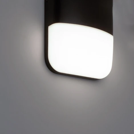 Настенный уличный светильник светодиодный Feron Сингапур 51832