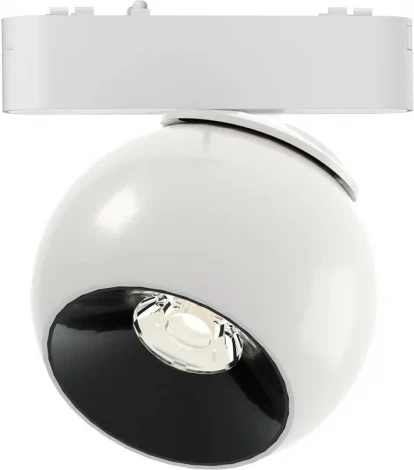 Трековый светильник низковольтный 12W 40V Wertmark WTH WTH.O13.007.30.12 (LED, шар)