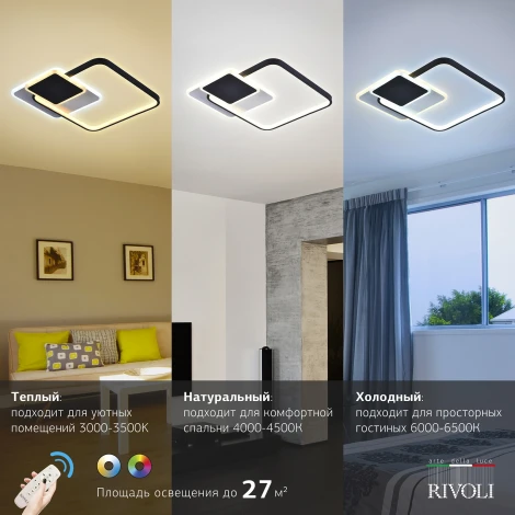 Потолочная люстра Rivoli Andrea 6081-108