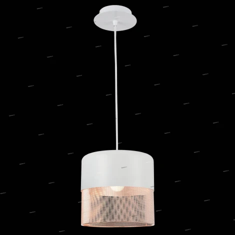 Подвесной светильник ST Luce Tondatto SL976.443.01