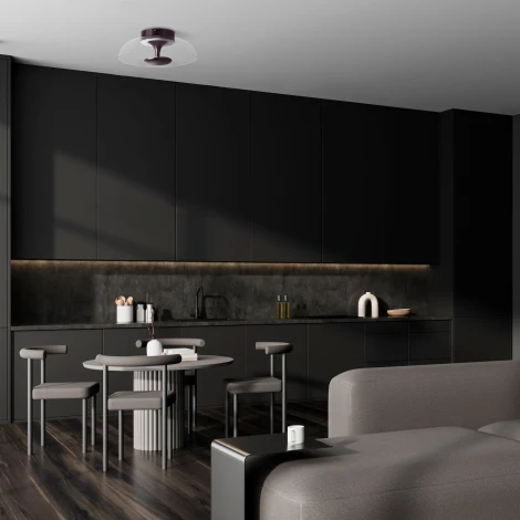 Потолочный светильник круглый светодиодный Lightstar Celesta 809200 (220V, круглые)