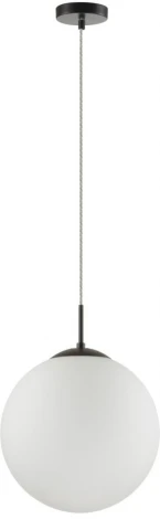 Подвесной светильник Lumion Summer 6510/1A SUSPENTIONI черный E27 1*60W 220V (на проводе, шар)