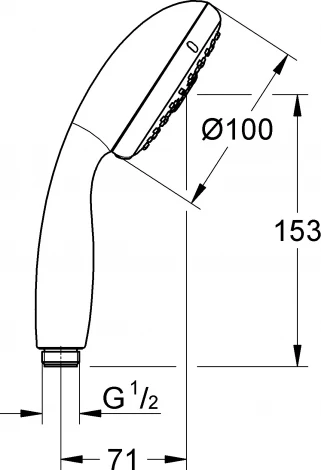 Душевая лейка Grohe Tempesta New 28578002