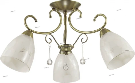 Потолочная люстра Lumion Eleconca 3511/3C