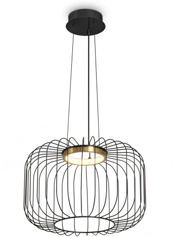 Подвесной светильник Freya Citrus FR5398PL-L8B (LED, 220V, на проводе, клетка)