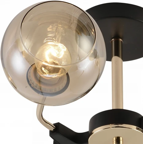 Потолочная люстра на штанге Reluce 01483-0.3-06 BK+FGD (220V)