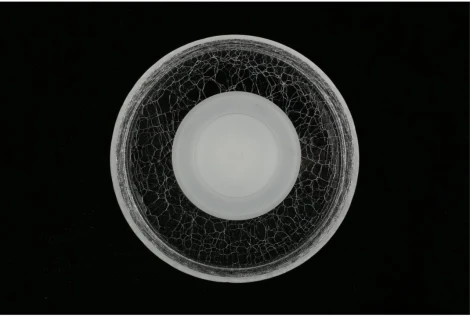 Настенный светильник LED Aployt Eloiza APL.341.01.06 (220V, круглые)