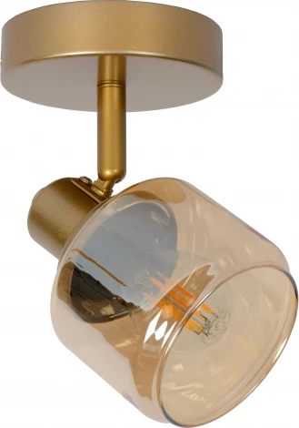 Спот Bjorn 77979/01/02 (220V)