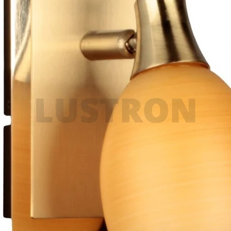 Спот Omnilux OML-217 OML-21701-01