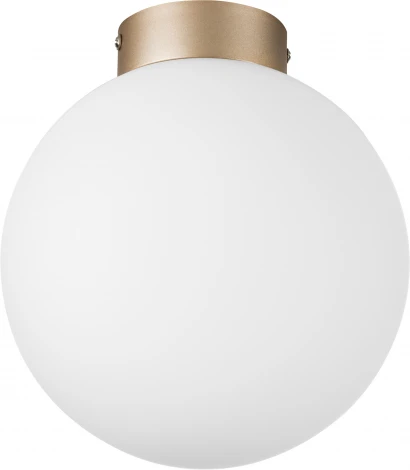 Потолочный светильник круглый Lightstar Globo 812023 (220V, шар)