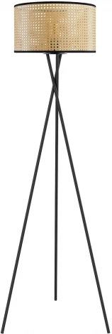 Торшер на треноге LSP-0633 (220V, выключатель, IP21)