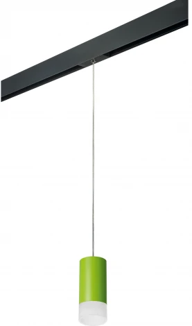 Трековый светильник однофазный 220V Lightstar Rullo PRORP43431 (круглые)