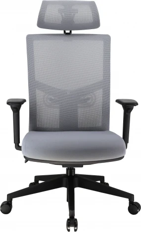 Эргономичное кресло Everprof Fuji Сетка Серый