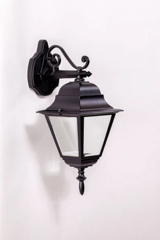 Настенный фонарь уличный Oasis Light 79902M Bl (220V, IP44)