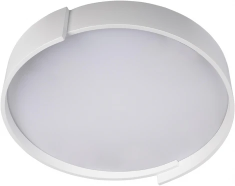 Потолочный светильник круглый Coin 10200 White Loft It (LED, 220V, круглые)