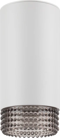 Точечный светильник ЭРА OL40 WH/GR