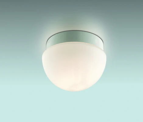 Настенно-потолочный светильник Odeon Light Minkar 2443/1B