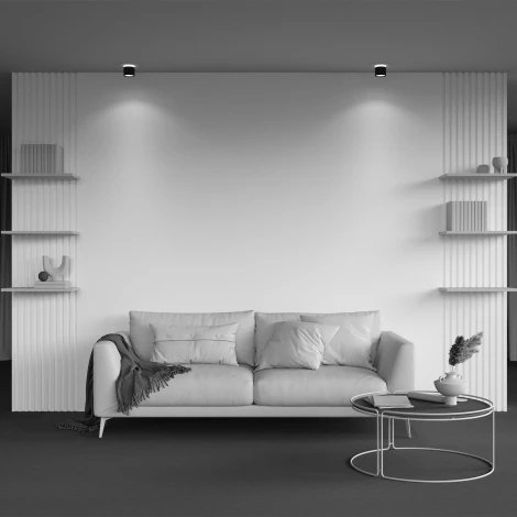 Накладной потолочный светильник Maytoni Pauline C120CL-GX53-B (220V, круглые)