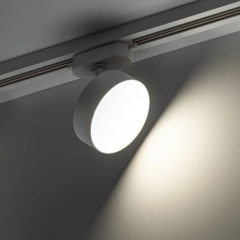 Трековый светильник однофазный 220V Ritter Artline 59723 4