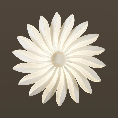Потолочный светильник Odeon Light Maya 4174/86CL