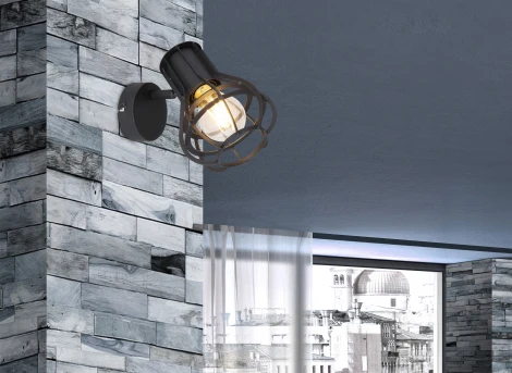 Спот с выключателем Clastra 15388-1 Globo (220V)