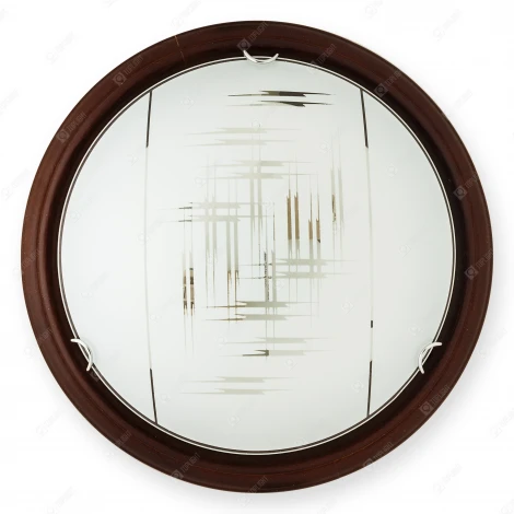 Настенно-потолочный светильник Toplight Zier TL9153Y-02PO