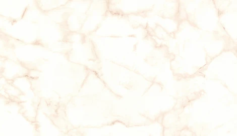 Обои виниловые Marburg Project 31738 10,05 x 0,53 м