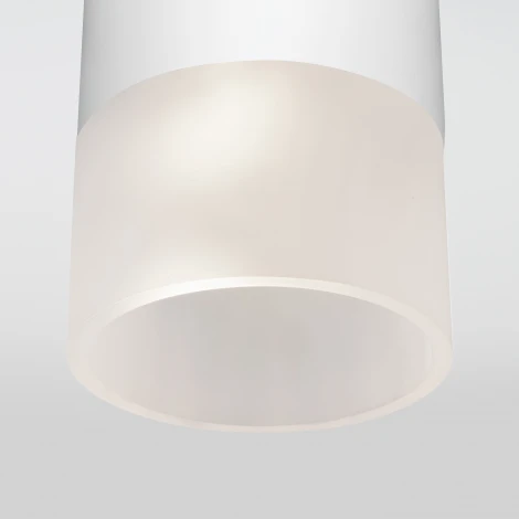 Потолочный светильник уличный Elektrostandard Light LED 35139/H белый (220V, круглые, IP54)