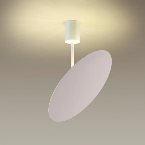 Потолочная люстра Odeon Light Whittaker 3844/12CL