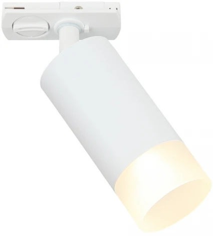 Трековый светильник Imex Leon IL.0010.0014 WH (220V, круглые)