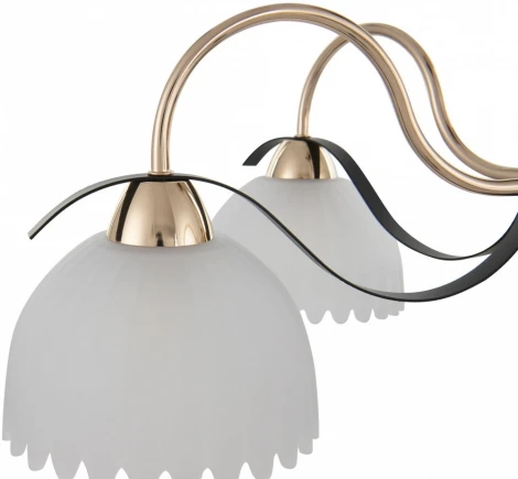 Потолочная люстра на штанге Arte Milano Napoli 327306/5 FG+BK (220V)