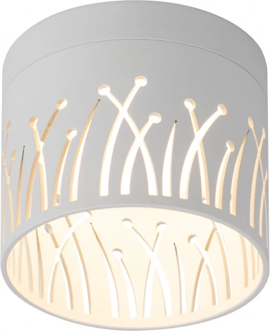 Точечный светильник ЭРА OL54 WH (220V)