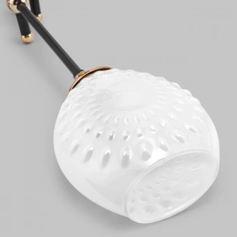 Потолочная люстра на штанге Imex MD.4144-5-S-BK+FGD