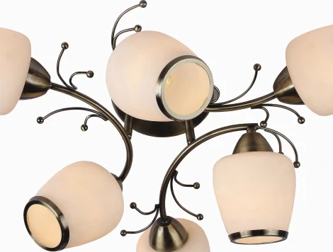 Потолочная люстра Silver Light Verbena 501.53.6