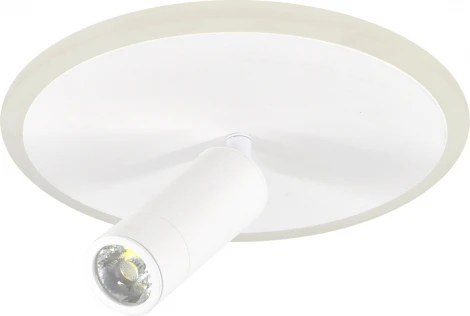 Настенно-потолочный светодиодный светильник 20046LED Escada 20046SMA/01LED WH 20Вт, металл/акрил, белый (220V, круглые)