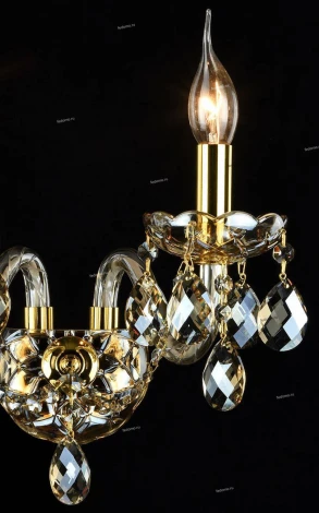 Бра Maytoni Brandy DIA937-WL-02-G