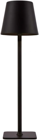 Настольная лампа с аккумулятором F-Promo Pyari 4615-1T (LED, 220V)