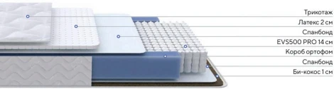 PROxSON Матрас Active Duo S/F (Ткань Трикотаж Эко) 80x195