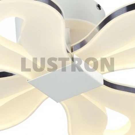 Потолочная люстра ST Luce Birin SL862.502.04