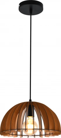 Подвесной светильник Rivoli Ivy 5111-201 1хЕ27 60 Вт