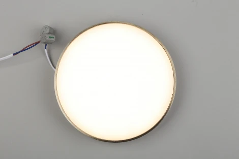 Потолочный светильник круглый Aployt Evon APL.0113.29.24 (LED, 220V, круглые)