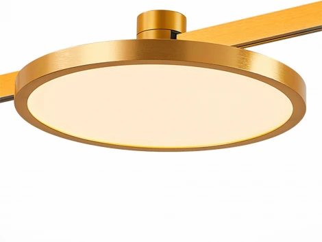 Трековый светильник магнитный ST Luce Farm ST818.246.12 Золотистый LED 1*10W 4000K (круглые)