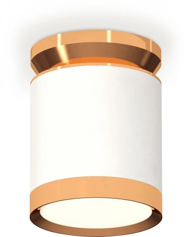 Накладной точечный светильник Ambrella Techno Spot XS8141030 (220V, круглые)