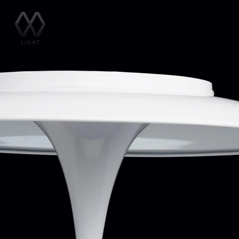 Потолочный светильник MW-Light Ривз 674011001